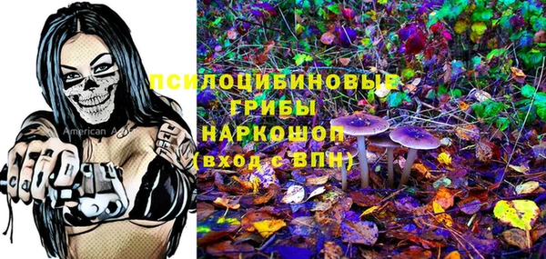амф Медногорск