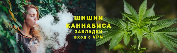 амф Медногорск
