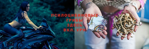 амф Медногорск