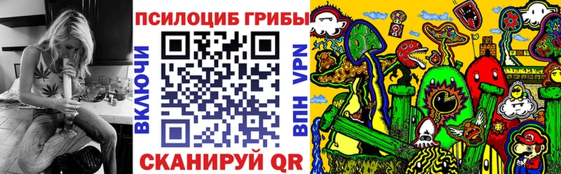 купить наркоту  Мариинский Посад  Псилоцибиновые грибы прущие грибы 